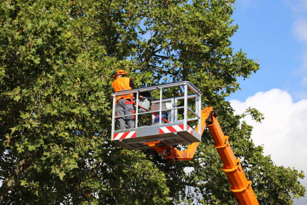 Leaf Removal in Mooresville, IN