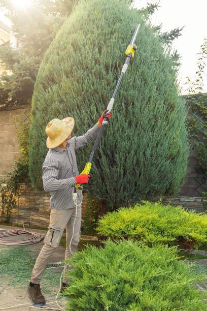 Best Tree Preservation Services  in Mooresville, IN